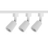 Jazzway .5024908A PTR 1508 3*8w 4000K (новая модель) 50° White IP40