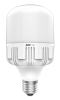Jazzway PLED-HP-T100 30w 4000K 2550Lm E27 220/50 Jazzway, .1038913