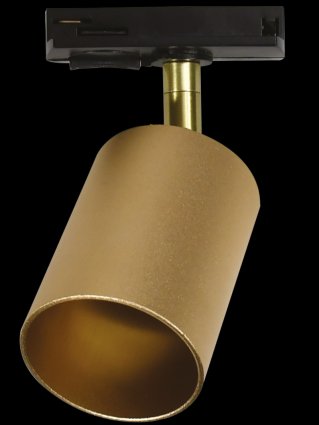 Фотография товара 'Jazzway .5038073 Прожектор PTR 26 GU10 SG (матовое золото) 230V IP20'