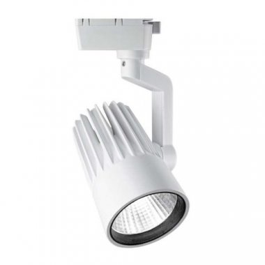 Фотография товара 'Jazzway PTR 0130-2 30w 4000K 24° WH (белый) IP40 Jazzway, .5022737'