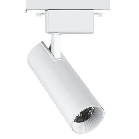 Фотография товара 'Jazzway Прожектор PTR 0620 20w 4000K 24° WH (белый) IP40'