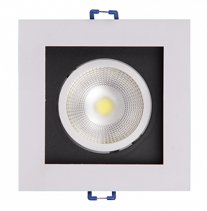 Фотография товара 'Jazzway PSP-S 211 1x8W 4000K 55° White IP40'