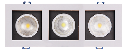 Фотография товара 'Jazzway PSP-S 213 3x8W 4000K 55° White IP40'