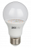 Фотография товара 'Jazzway PPG A60 Agro 9w CLEAR E27 IP20 ( для растений) Jazzway, .5008946'