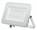 Jazzway PFL- 30W RGB WH IP65 Прожектор БЕЛЫЙ
