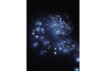Jazzway .5048010 Гирлянды DC-G05-20WS2 20 LED, 2xCR2032