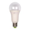 Jazzway .5049444 PPG A60 Agro 15w CLEAR E27 IP20