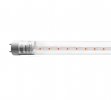 Jazzway PLED T8 600 Agro 8w CL G13 ( для растений) Jazzway, .5025899