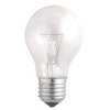 Jazzway .3326623 A55 240V 40W E27 clear (Б 230-40-5)