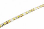 Jazzway Лента PLS 5050/60 White IP65 (5м), .1000958
